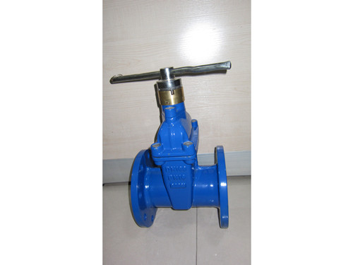 磁性鎖閉彈性座封閘閥 磁性鎖閉彈性座封閘閥