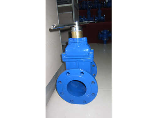 磁性鎖閉彈性座封閘閥 磁性鎖閉彈性座封閘閥