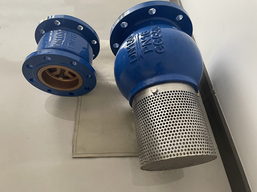 抽水底閥和止回閥 抽水底閥和止回閥